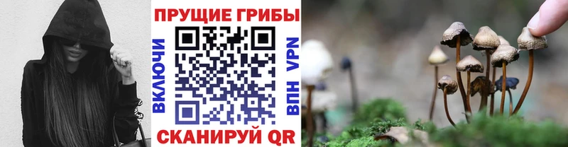 Псилоцибиновые грибы мицелий  Белгород 