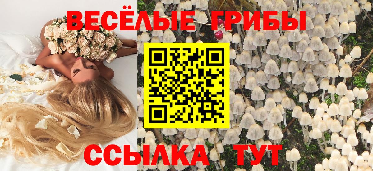 Псилоцибиновые грибы MAGIC MUSHROOMS  Вход с VPN  Галлюциногенные грибы прущие грибы  Белгород 